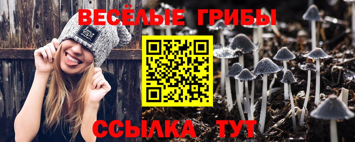 Псилоцибиновые грибы мицелий Выкса