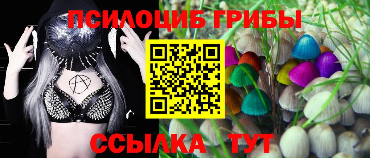 Псилоцибиновые грибы ЛСД  Вход с VPN  Выкса  Галлюциногенные грибы Psilocybe 